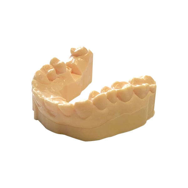 Dental-Model